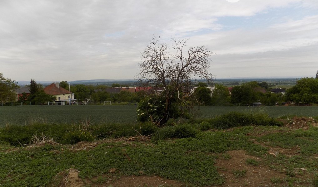 Prodej skladovacích prostor 9 985 m², Přestavlky – náhled fotky 6
