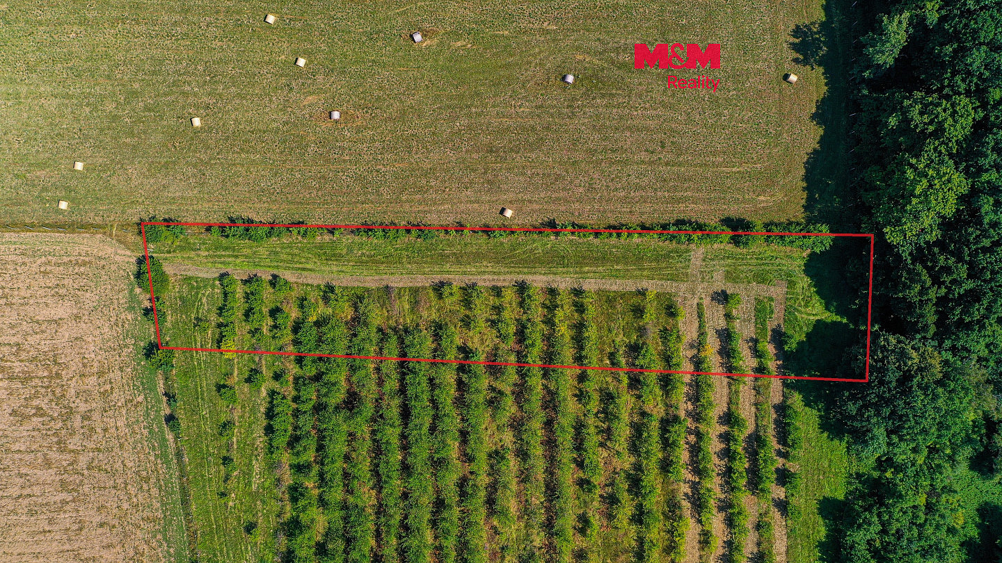 Prodej pole 2 771 m²