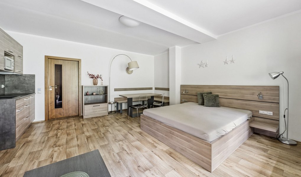 Prodej bytu 1+kk 40 m², Železná Ruda – náhled fotky 8