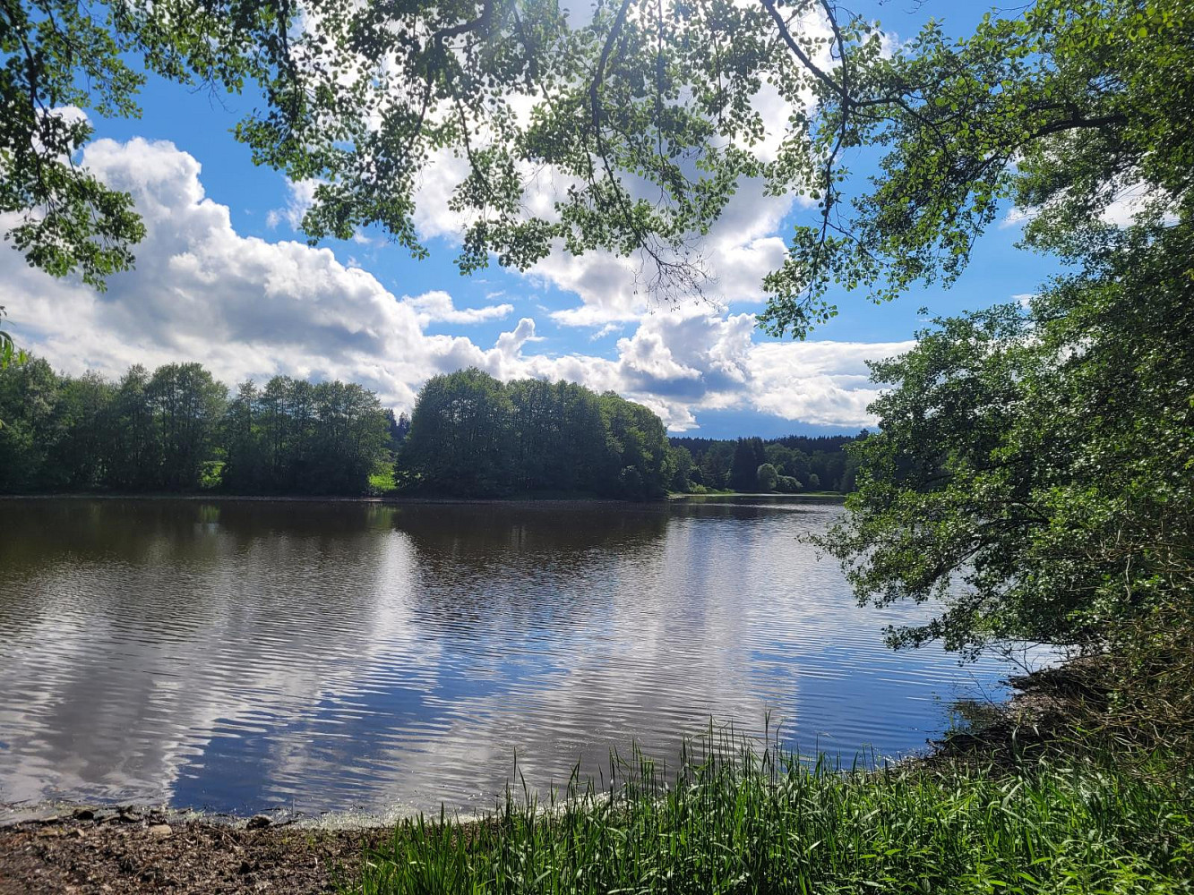 Fotka 19 z 24