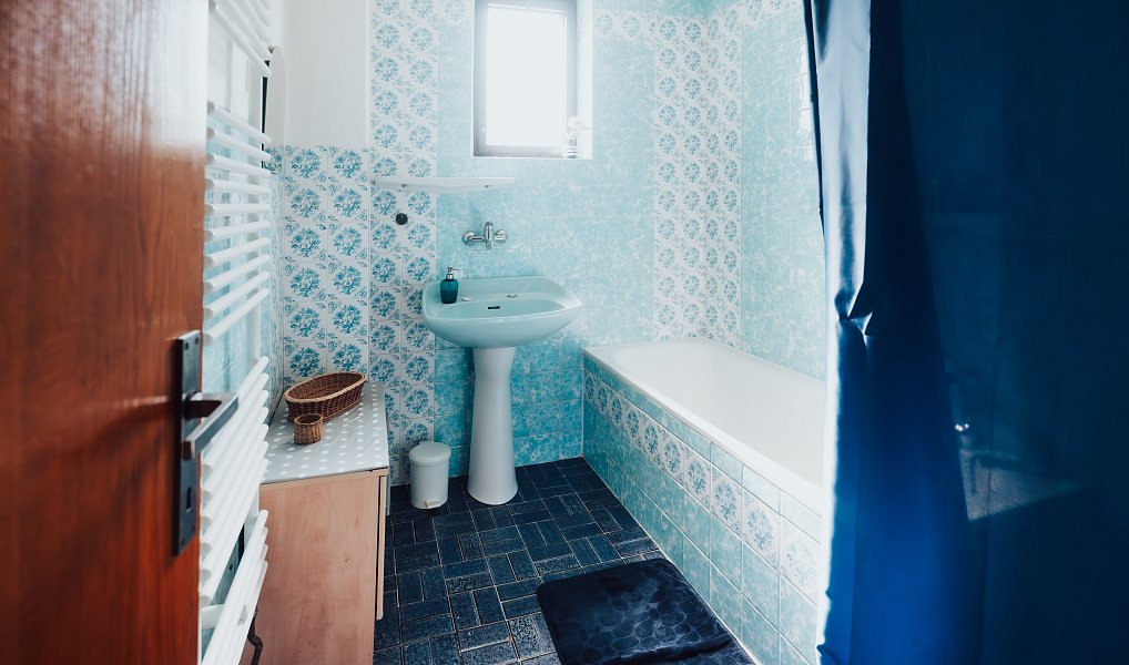 Prodej domu 410 m² s pozemkem 1 748 m², Nedachlebice – náhled fotky 17