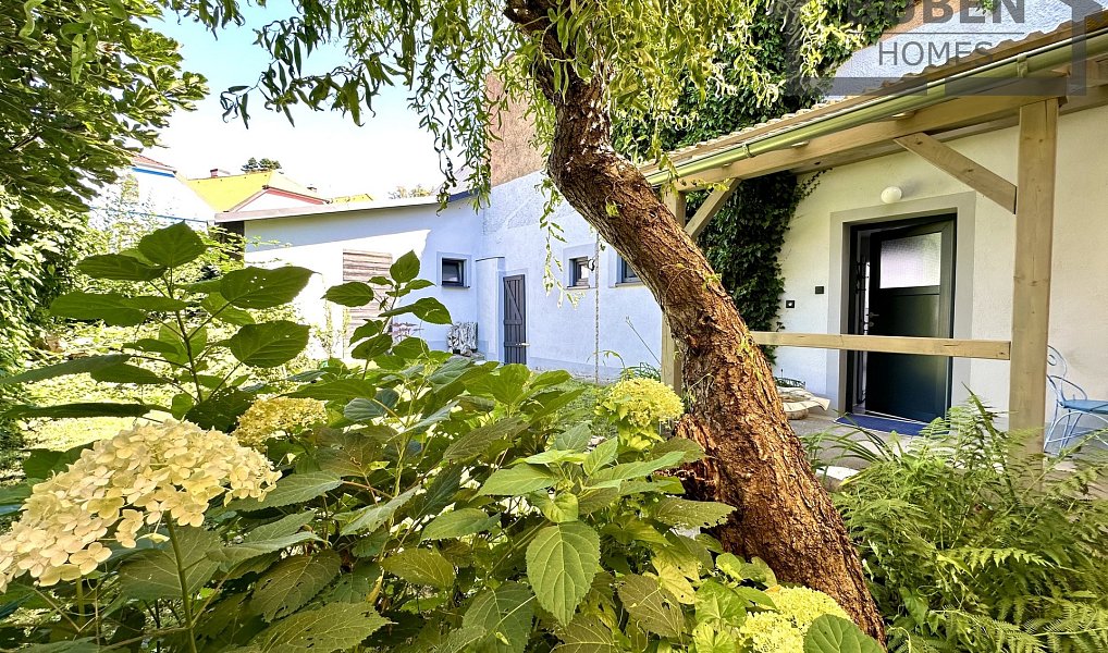 Prodej nájemního domu, činžáku 220 m², Tachov – náhled fotky 19