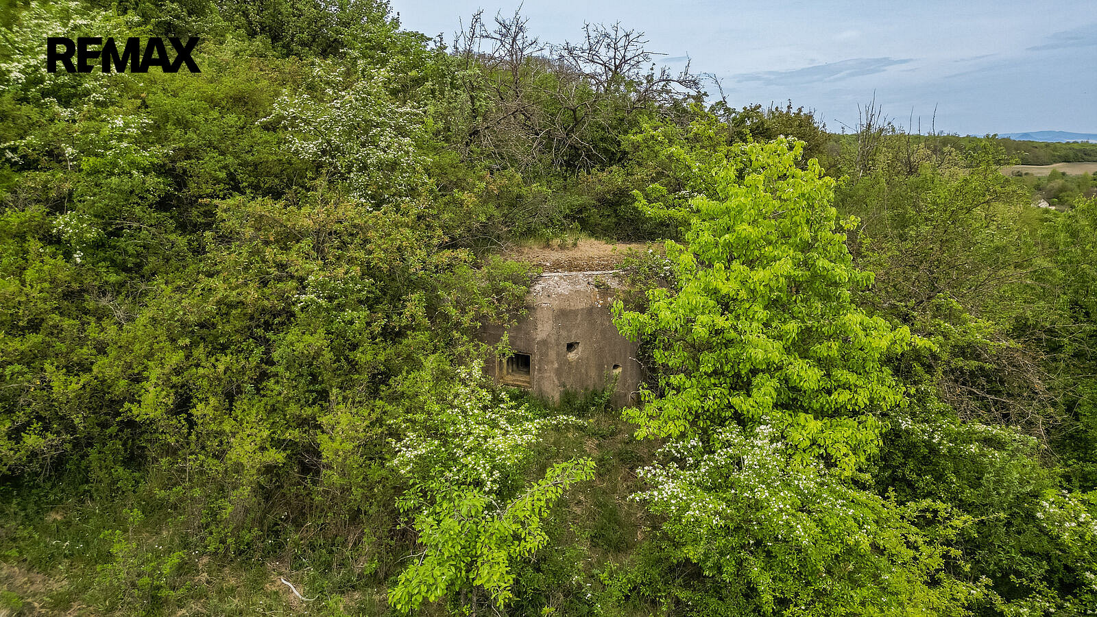 Prodej pozemku 7 734 m² – fotografie 3