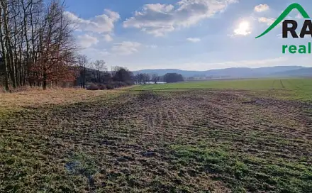 Prodej pole 47 205 m², Staré Sedliště, okres Tachov