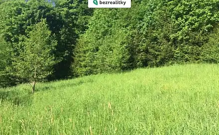 Prodej louky 3 100 m², Poniklá, okres Semily
