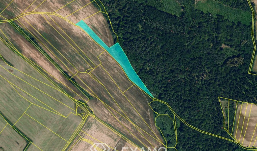 Prodej pole 54 498 m², Běhařovice – náhled fotky 12