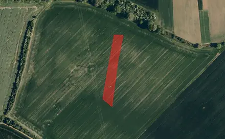 Prodej pole 12 129 m², Zborovice, okres Kroměříž