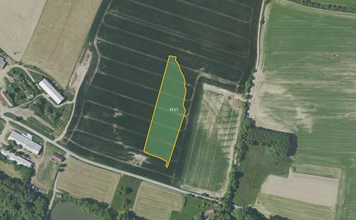 Prodej pole 18 422 m², Kondrac, okres Benešov