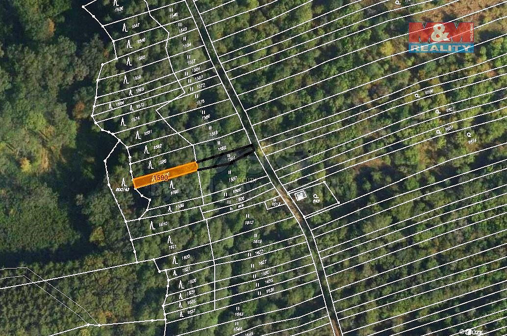 Prodej lesa 310 m²