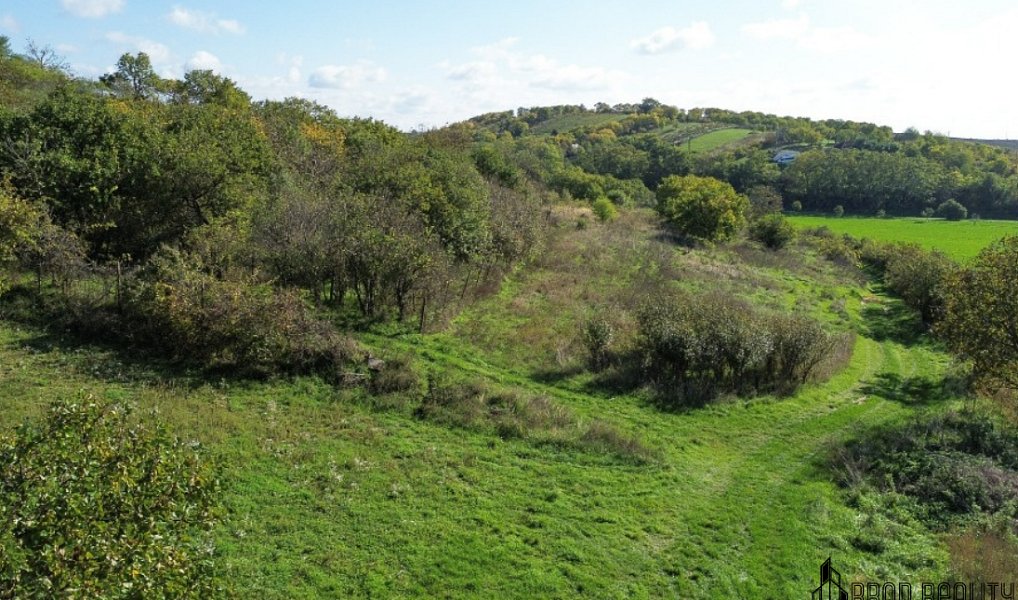 Prodej zahrady 6 601 m², Hrušovany u Brna – náhled fotky 11