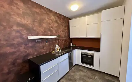 Pronájem bytu 2+1 52 m², Nové sady, Brno - Staré Brno