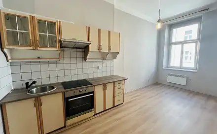 Prodej bytu 1+1 55 m²