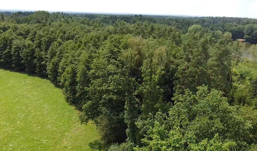 Prodej pole 130 000 m², Chlum u Třeboně – náhled fotky 13