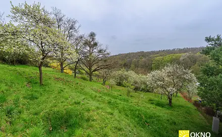 Ostatní