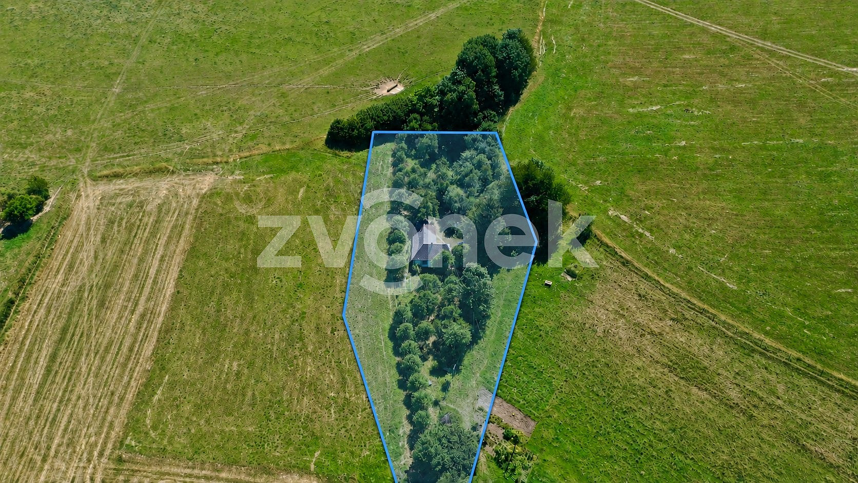 Prodej chaty/chalupy 81 m² s pozemkem 4 428 m² – fotografie 2