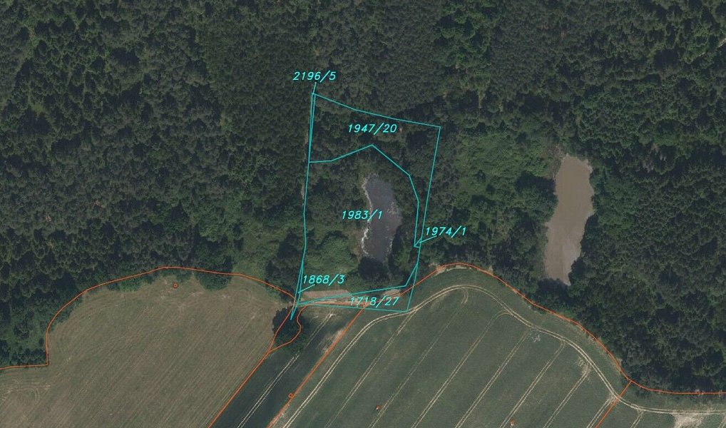 Prodej louky 10 951 m², Trhové Sviny – náhled fotky 4