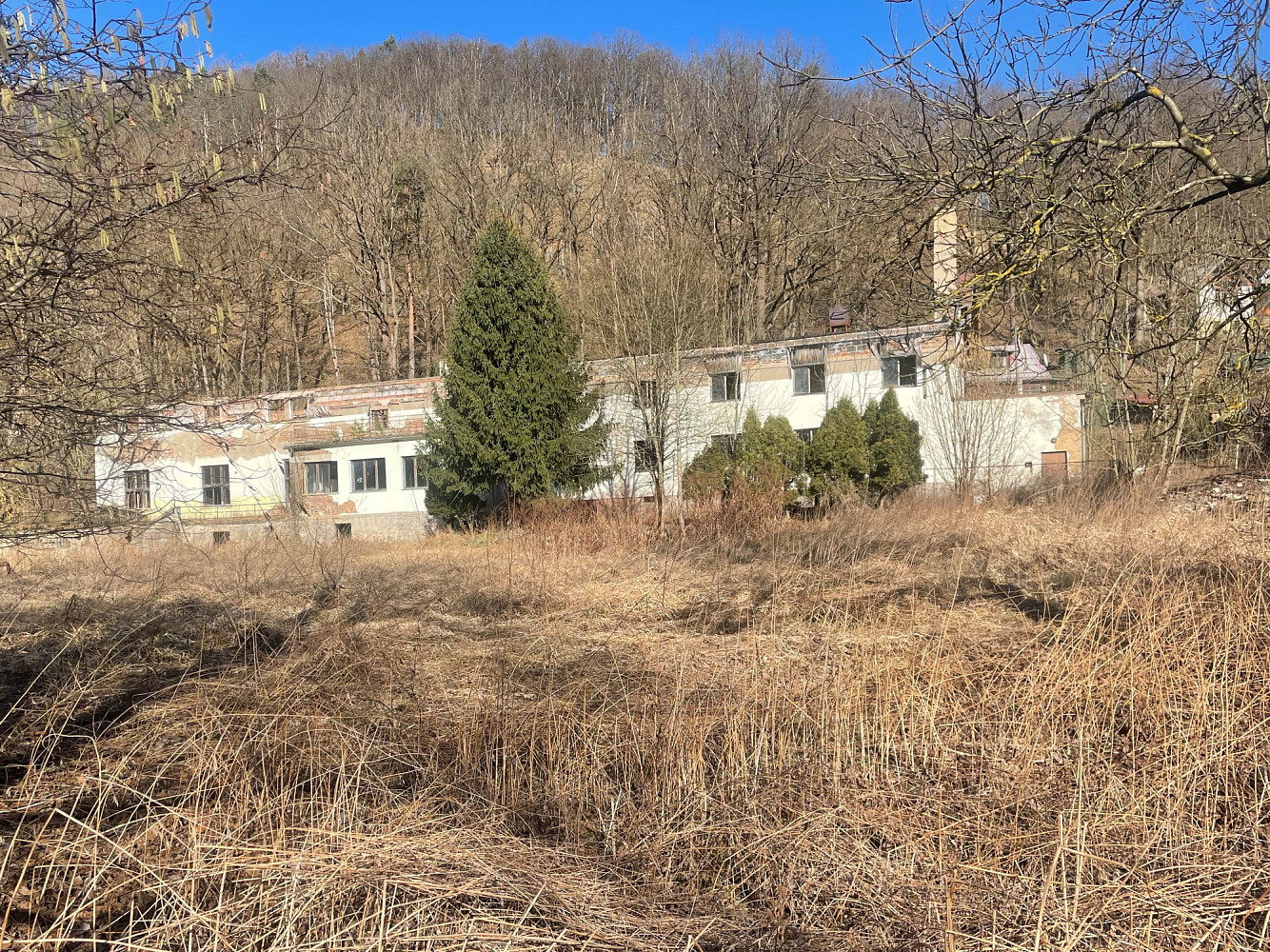 Prodej komerčního pozemku 4 219 m² – fotografie 2