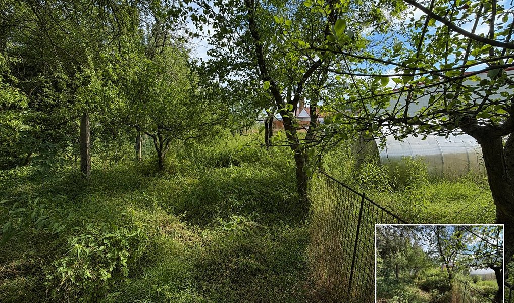 Prodej domu 250 m² s pozemkem 2 498 m², Strmilov – náhled fotky 54