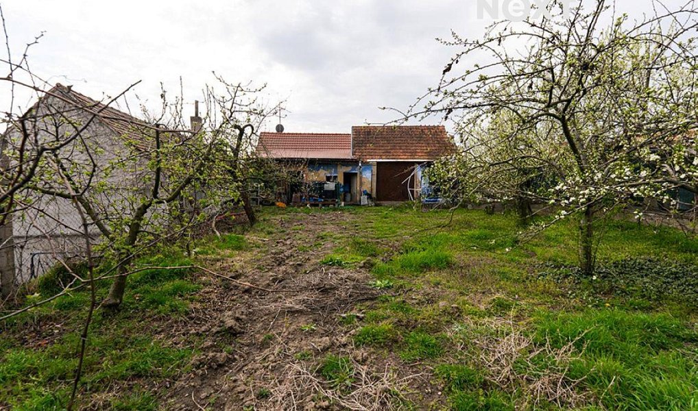 Prodej stavebního pozemku 423 m², Lanžhot – náhled fotky 4