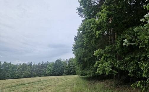 Prodej lesa 4 924 m², Paceřice, okres Liberec