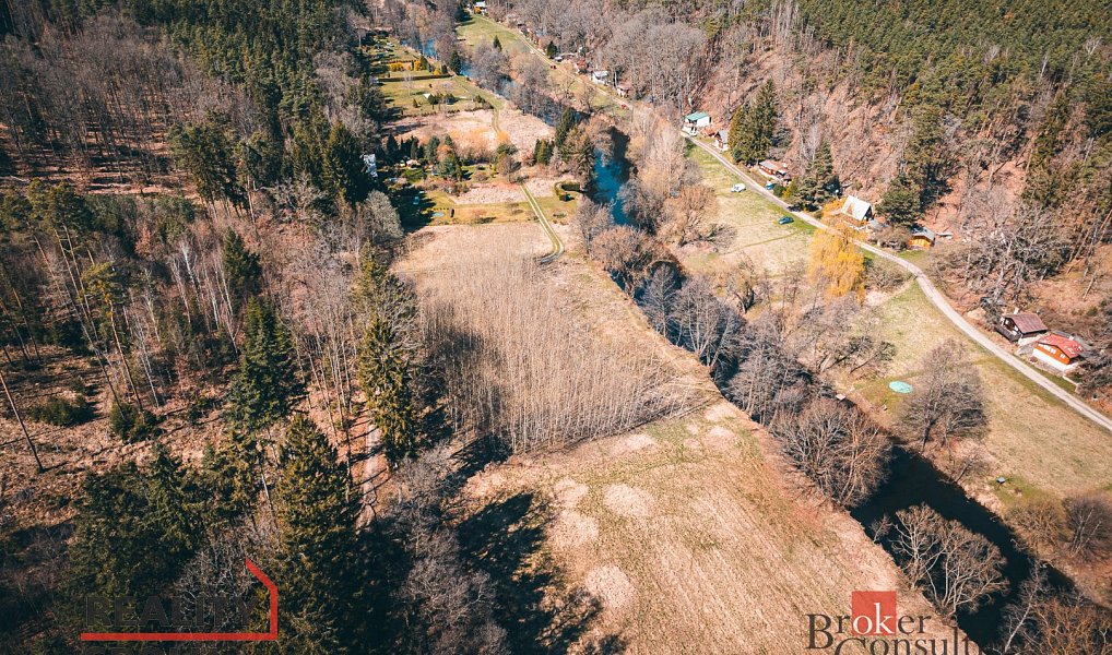 Prodej lesa 4 109 m², Plešnice – náhled fotky 8