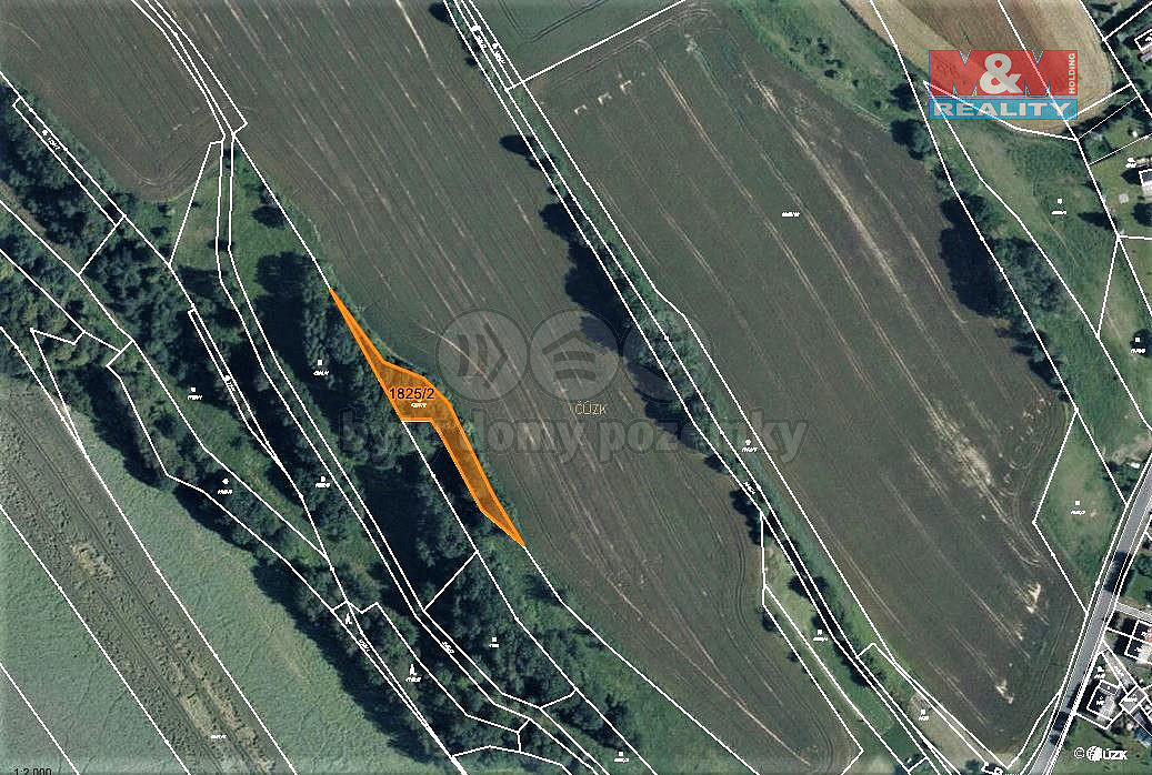Prodej lesa 1 219 m² — photo 4