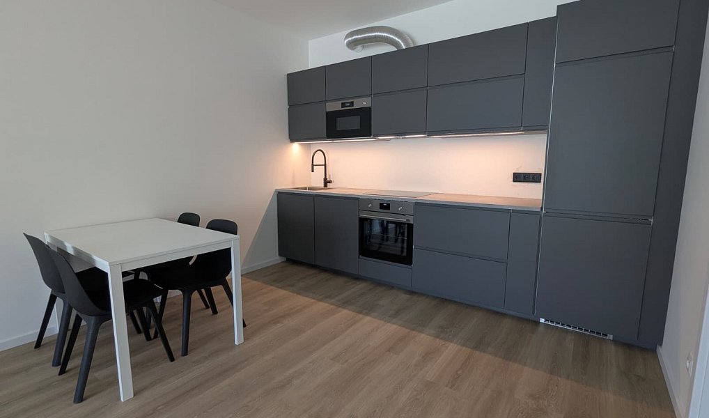 Pronájem bytu 2+kk 53 m², Praha – náhled fotky 2