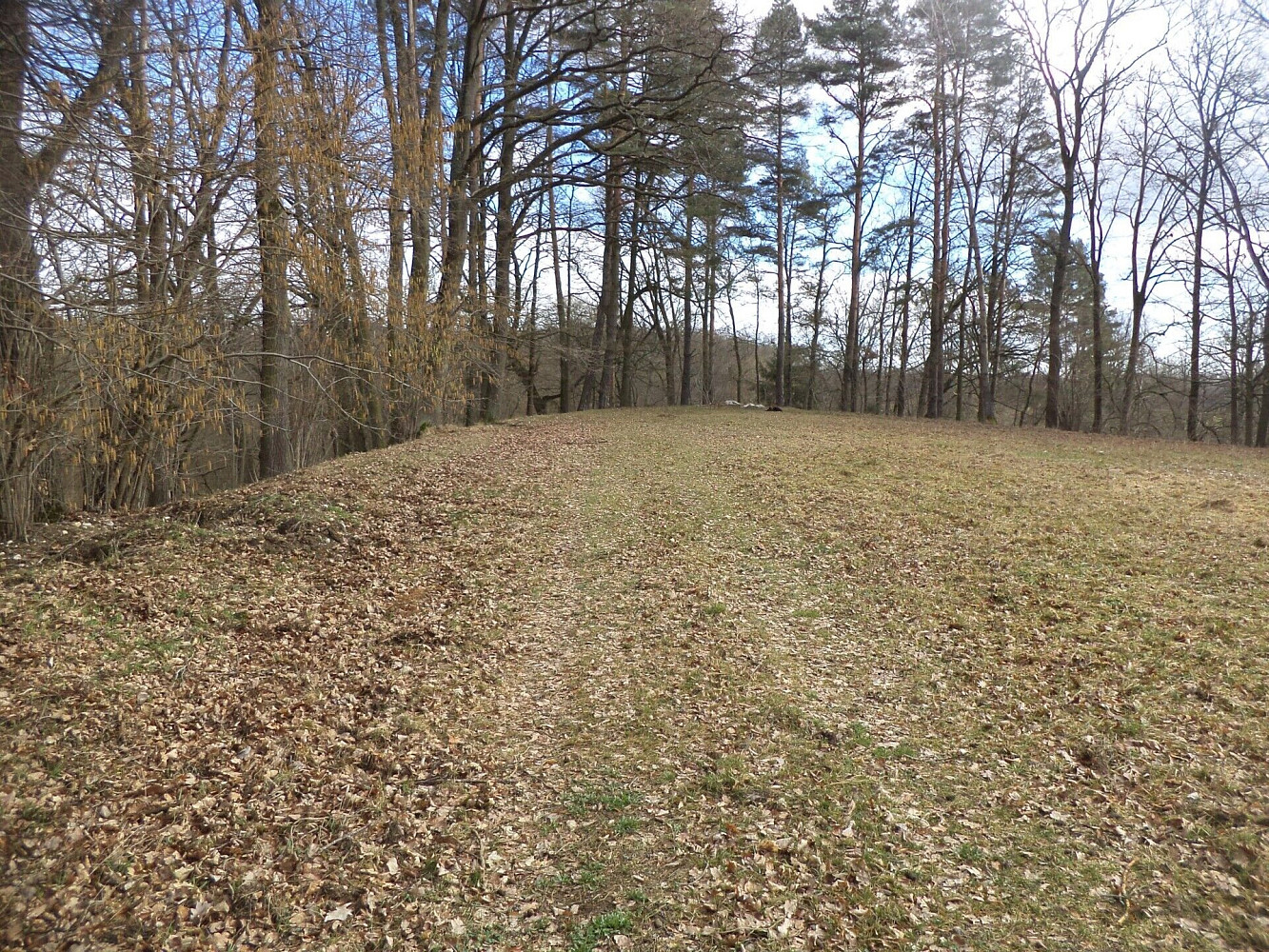 Prodej pozemku 6 591 m² – fotografie 3