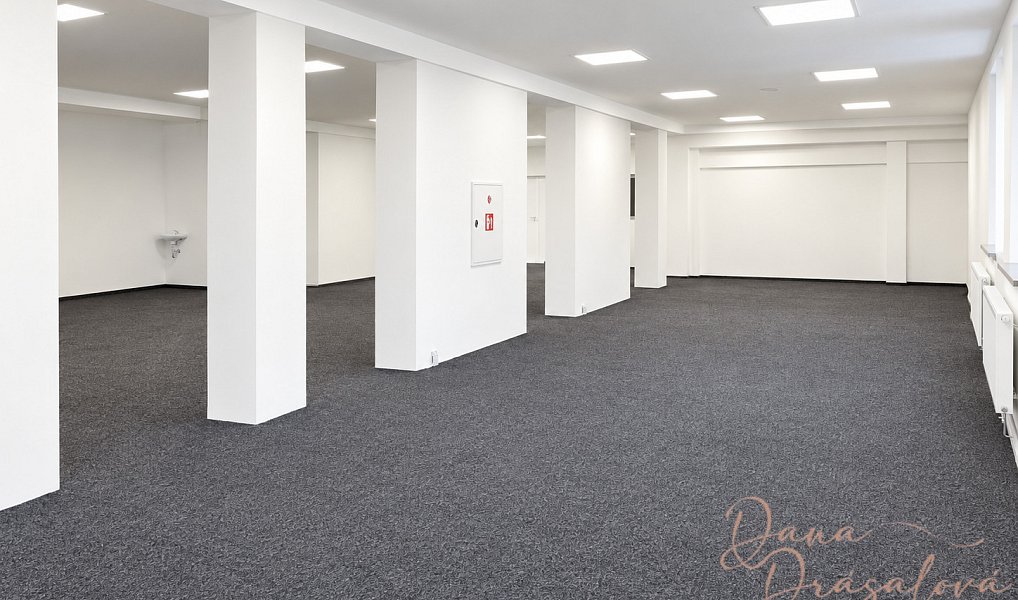 Prodej obchodních prostor 556 m², Hlinsko – náhled fotky 9