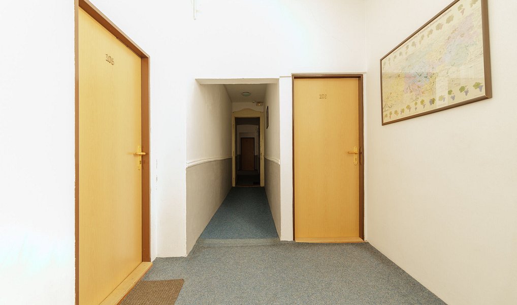 Prodej ubytovacího objektu 820 m², Mikulov – náhled fotky 6