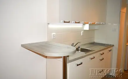 Pronájem bytu 1+kk 31 m²