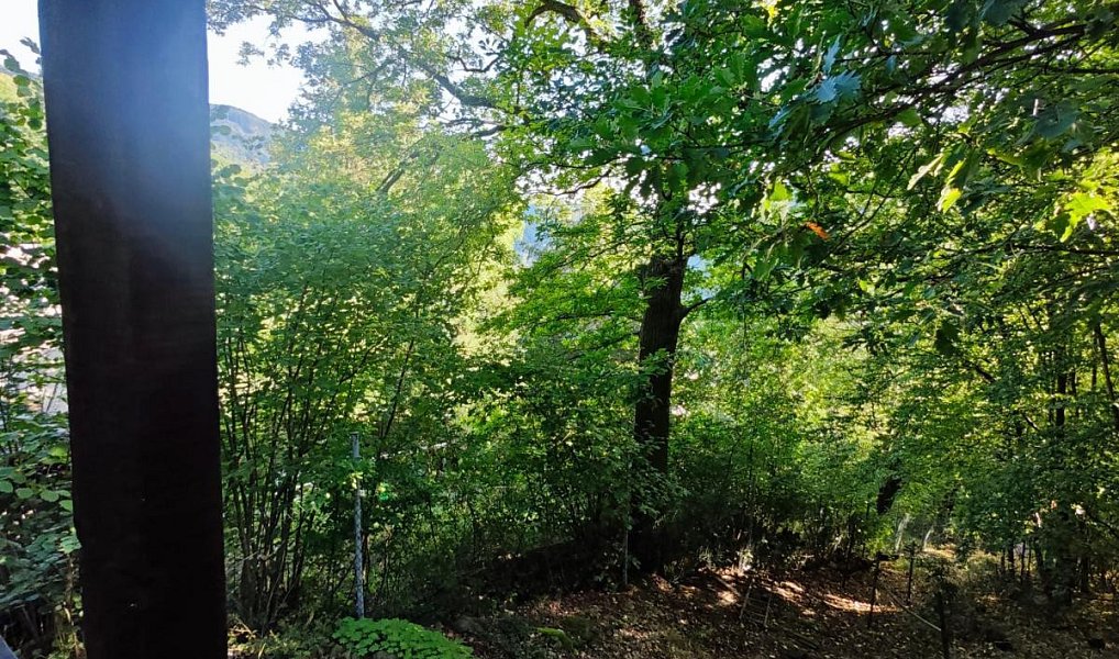 Prodej chaty/chalupy 35 m² s pozemkem 586 m², Ústí nad Labem – náhled fotky 15