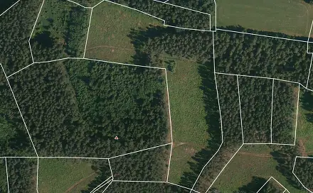 Prodej lesa 24 705 m², Přechovice, okres Strakonice