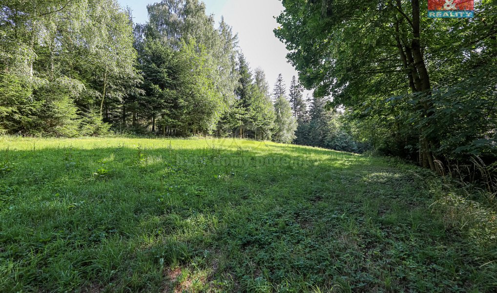 Prodej lesa 15 707 m², Petrovice u Sušice – náhled fotky 7