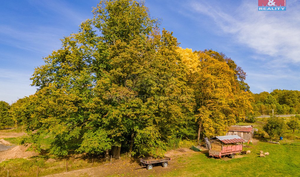 Prodej stavebního pozemku 1 944 m², Kynšperk nad Ohří – náhled fotky 6