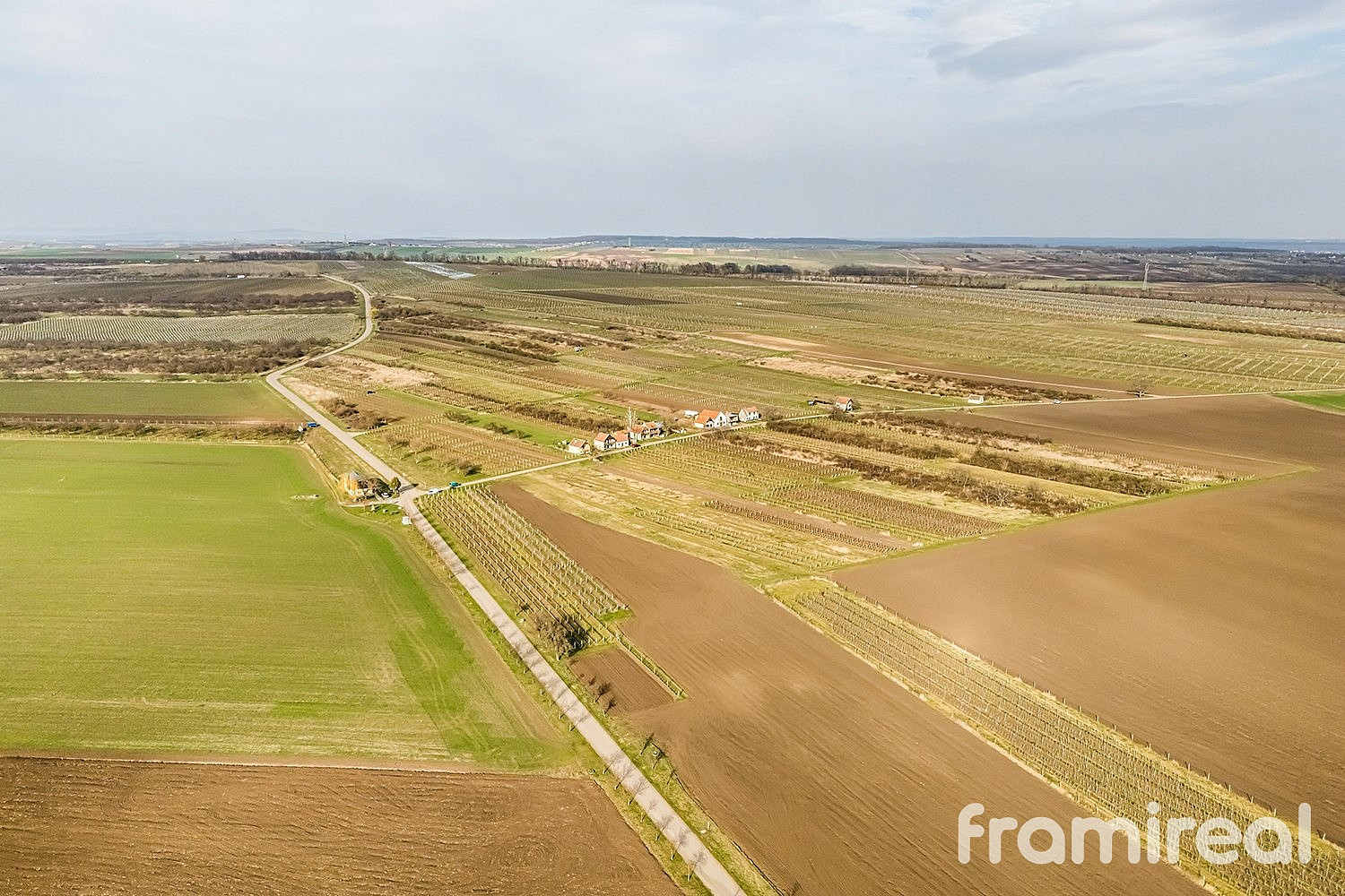 Prodej pole 2 781 m² — photo 4