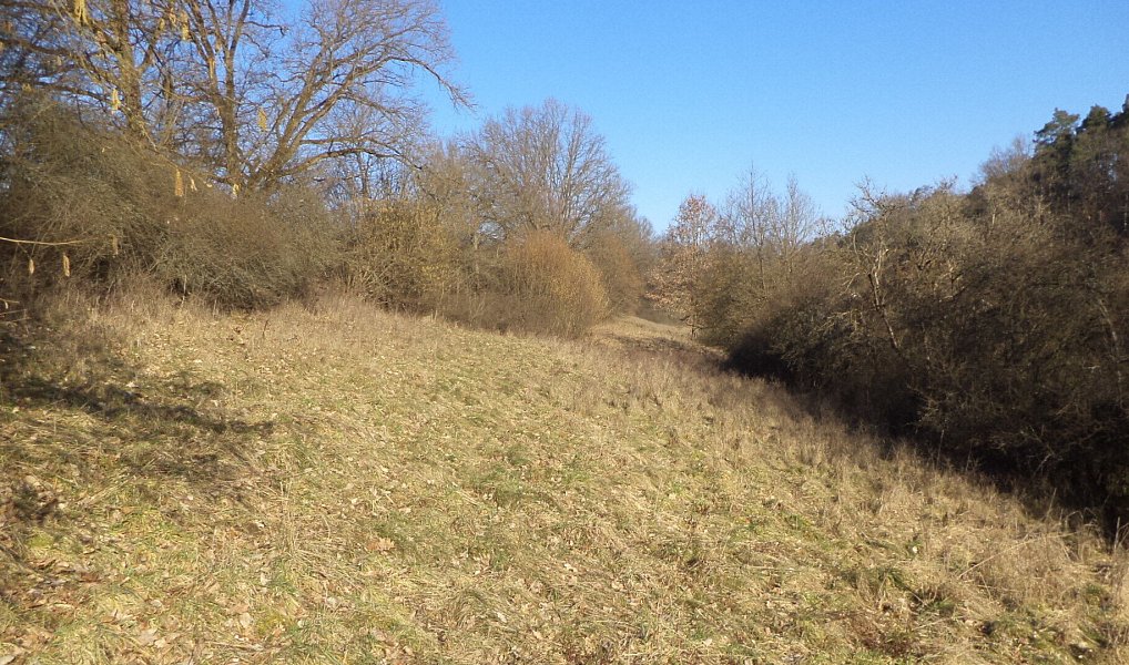 Prodej pole 7 345 m², Snědovice – náhled fotky 2