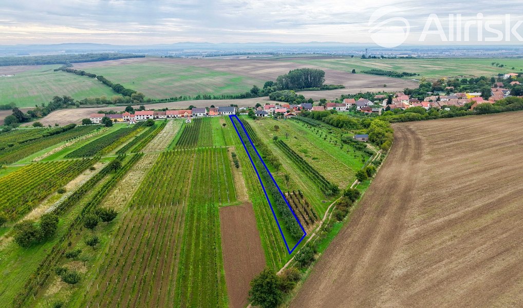 Prodej stavebního pozemku 1 865 m², Starý Poddvorov – náhled fotky 9