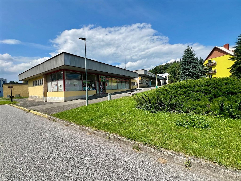 Prodej obchodních prostor 506 m²