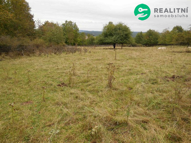 Prodej stavebního pozemku 2 000 m² – fotografie 3