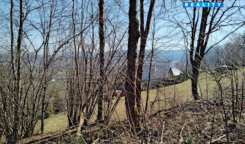 Prodej pozemku 12 588 m², Pstruží – náhled fotky 2