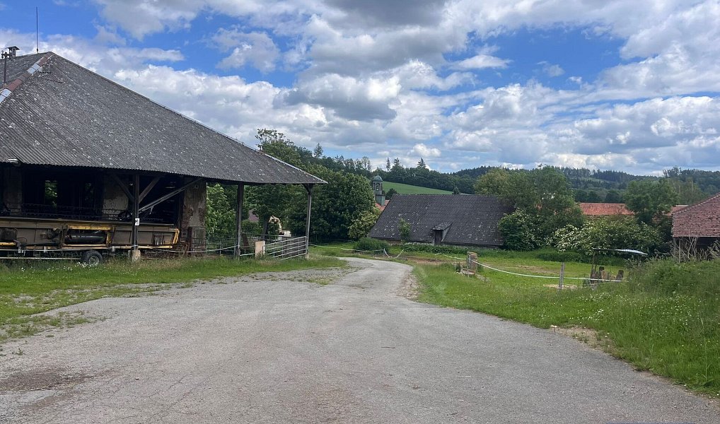 Prodej zemědělského objektu 2 020 000 m², Pavlov – náhled fotky 15