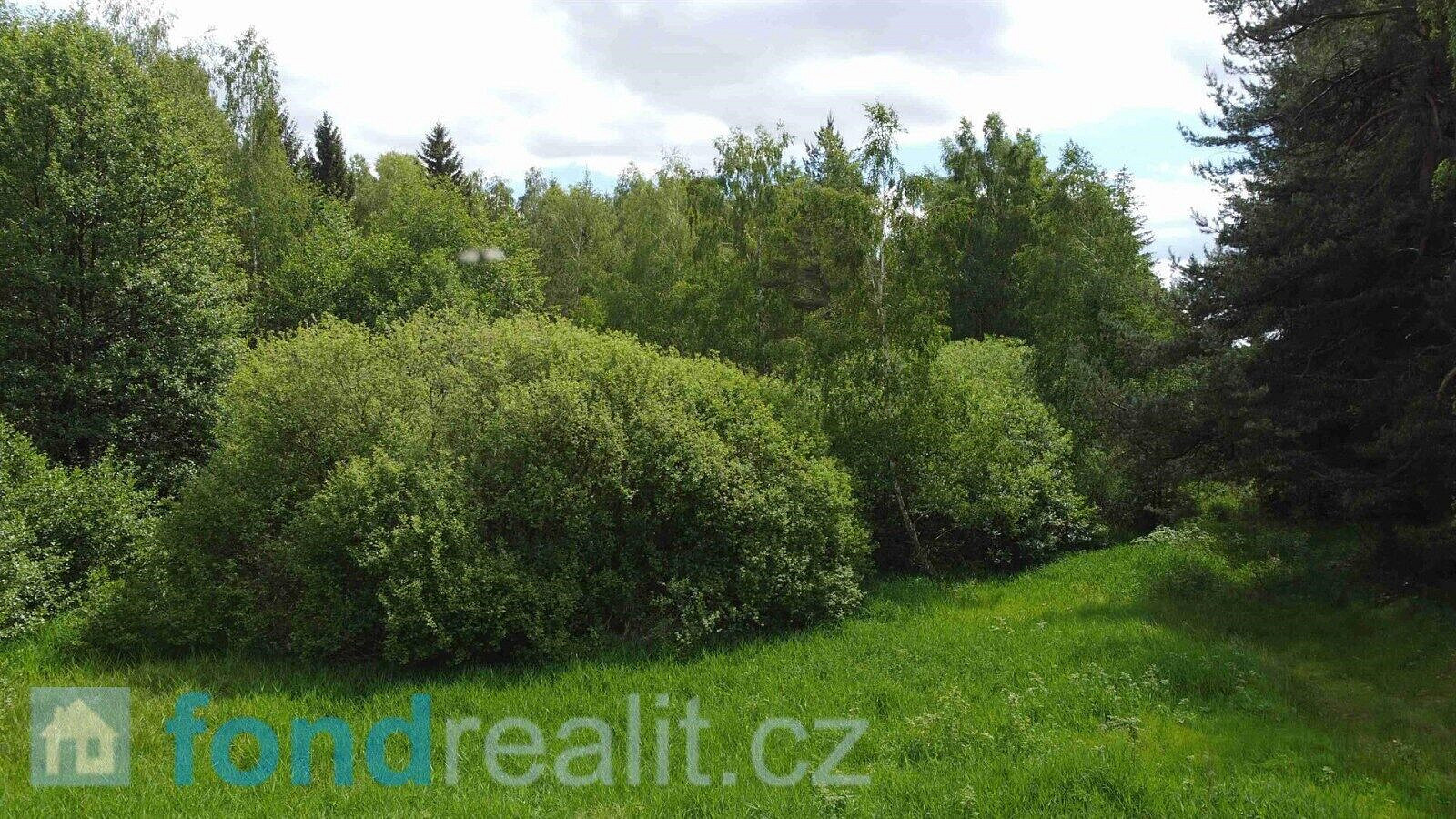 Prodej pozemku 27 662 m² – fotografie 4