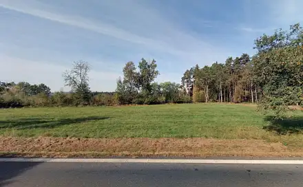 Prodej lesa 15 277 m², Luženičky - Luženice, okres Domažlice