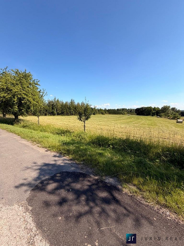 Prodej stavebního pozemku 1 280 m² – fotografie 3