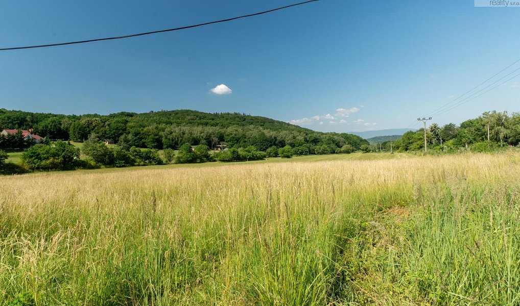 Prodej komerčního pozemku 23 391 m², Braňany – náhled fotky 2