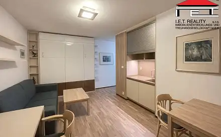 Pronájem bytu 1+kk 23 m², Údolní, Brno - Veveří