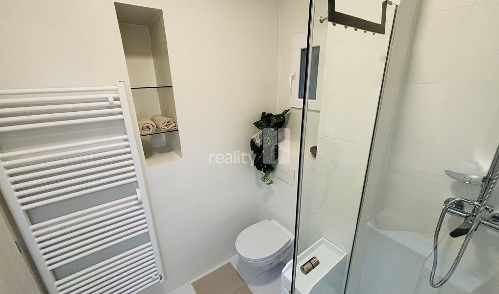 Pronájem bytu 1+1 37 m², Praha – náhled fotky 8