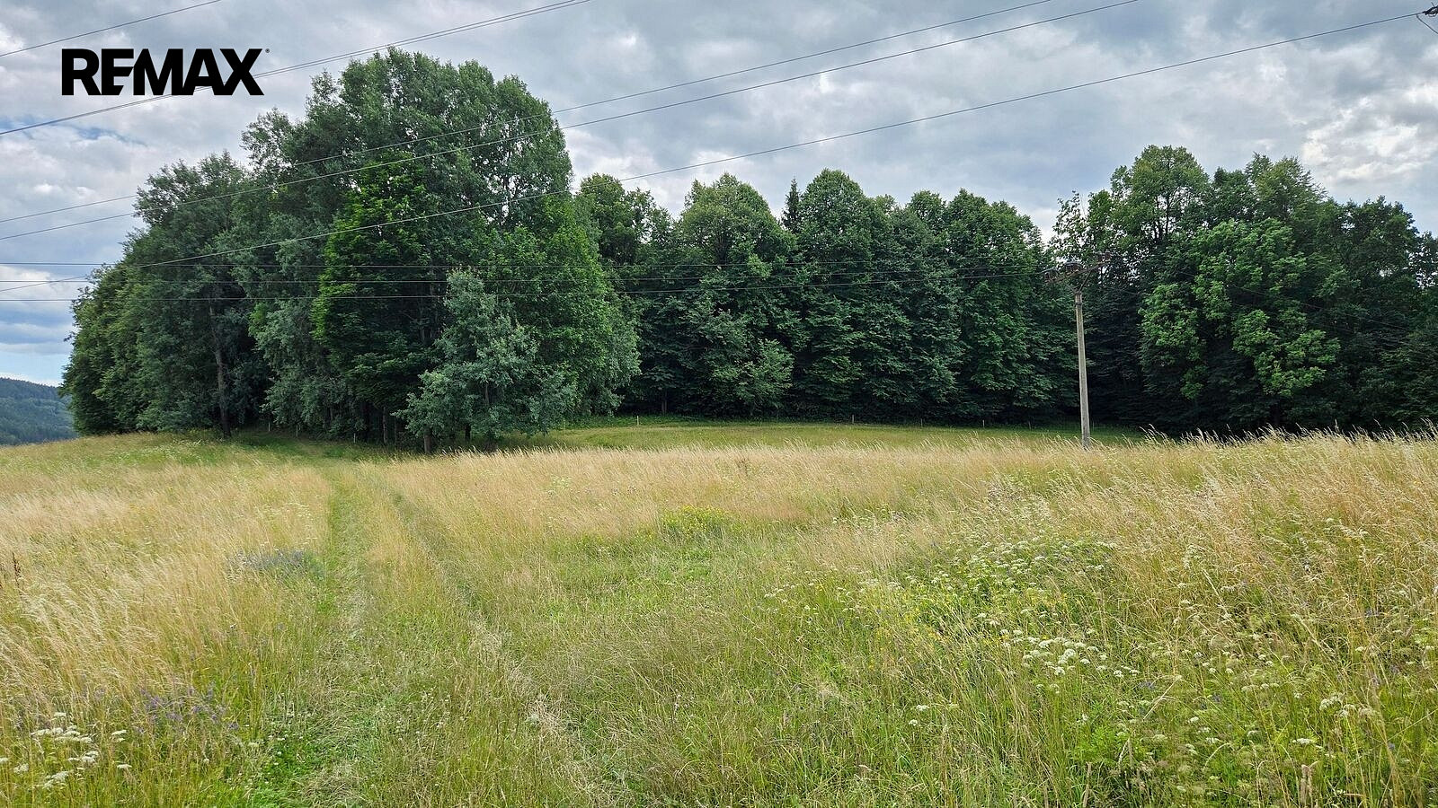 Prodej lesa 26 680 m²