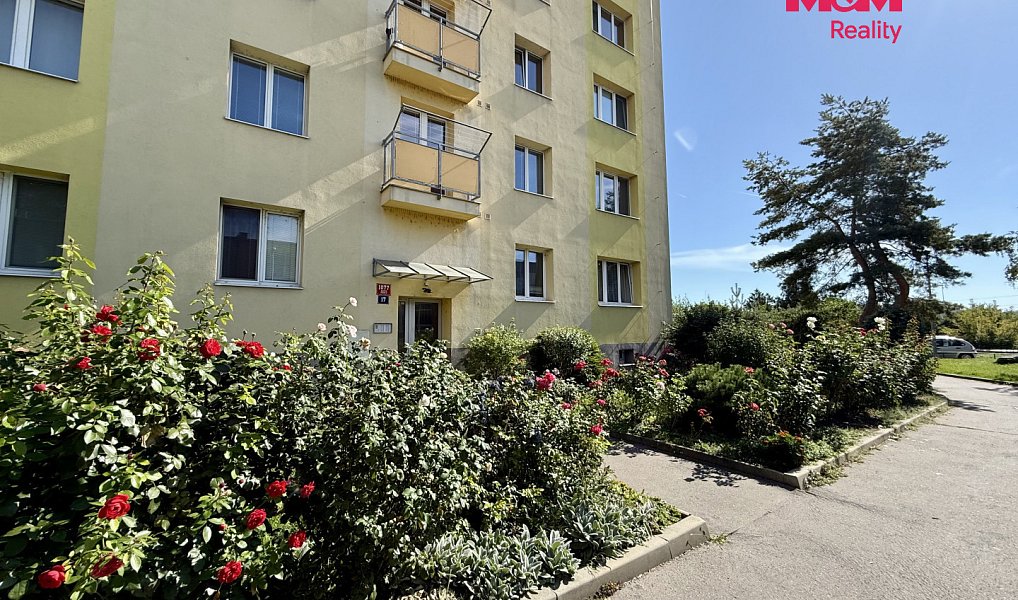 Pronájem bytu 2+1 53 m², Praha – náhled fotky 19